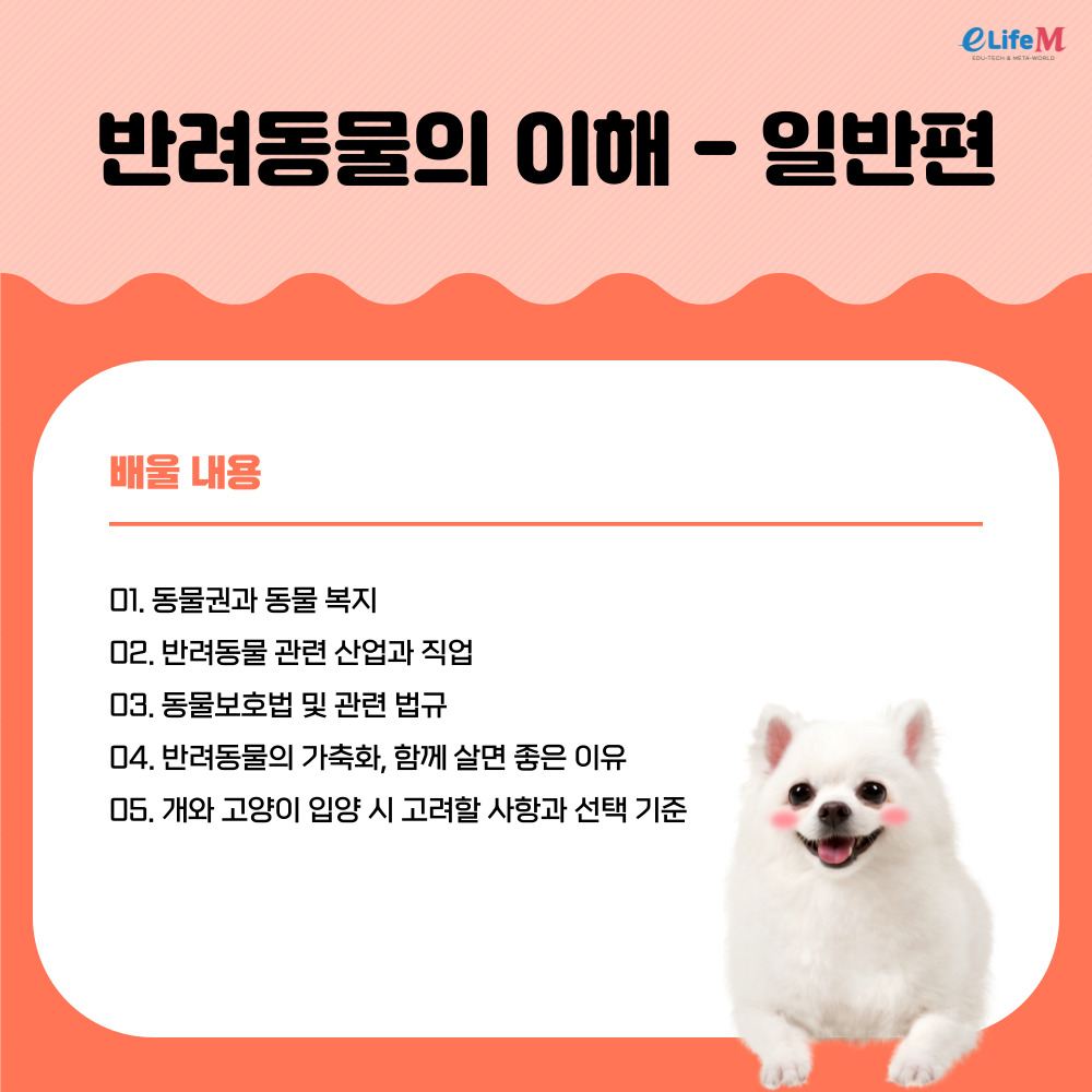 강의소개이미지