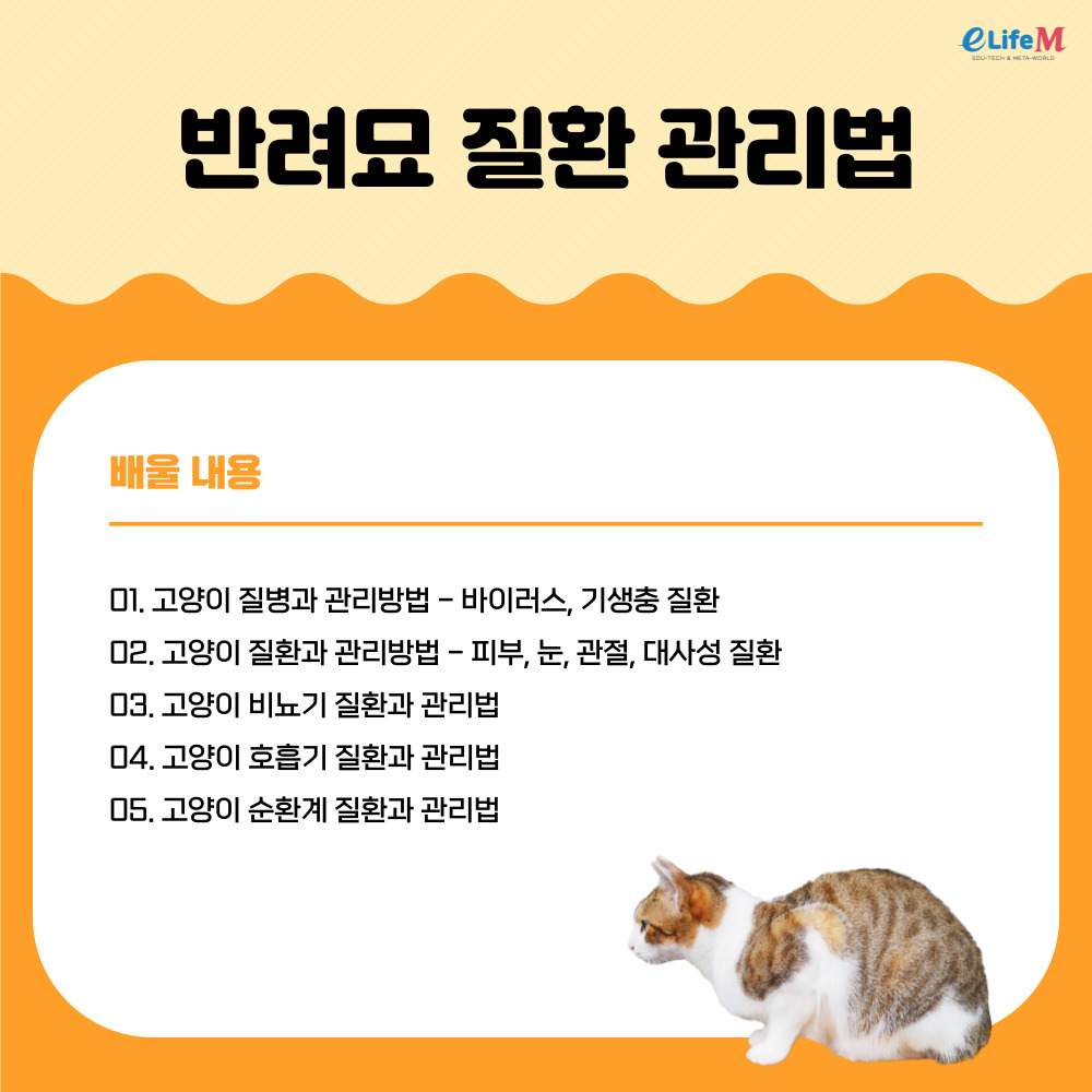 강의소개이미지
